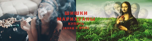индика Осинники