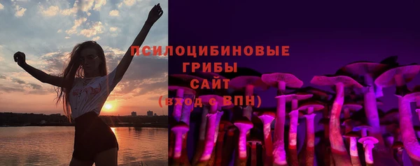СК Богородск