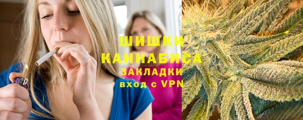 сатива Богданович
