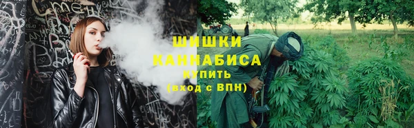 сатива Богданович