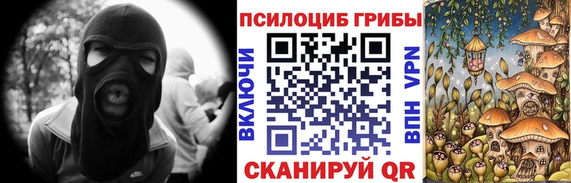 blacksprut маркетплейс  Нолинск  Галлюциногенные грибы Psilocybe 